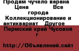 Продам чучело варана. › Цена ­ 15 000 - Все города Коллекционирование и антиквариат » Другое   . Пермский край,Чусовой г.